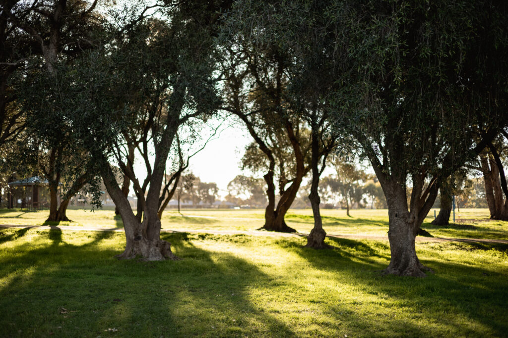 Almond Blossom Playground-145